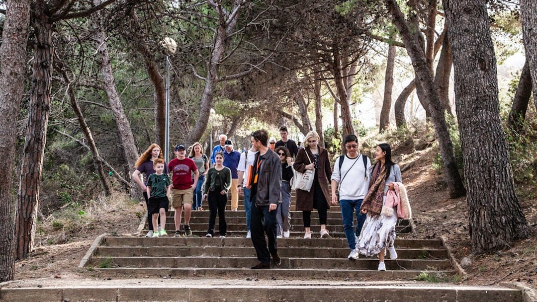 Group walking down steps in Montjuïc forest during guided tour.