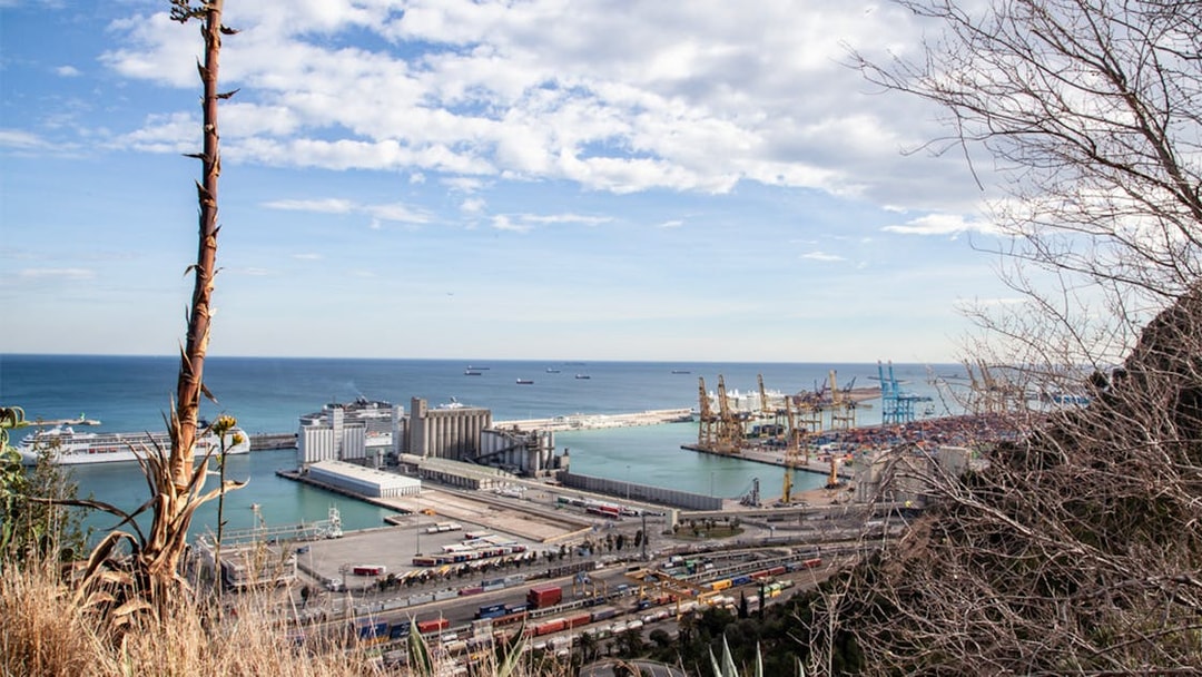 View of Barcelona's port from Montjuïc during a guided walking tour.