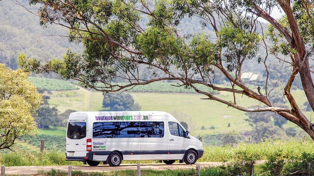 Hunter Valley wine tour van driving through vineyard landscape.