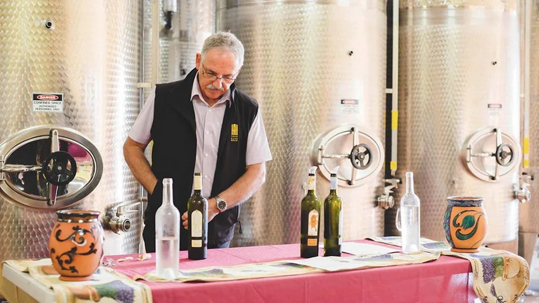 Wine expert leading tasting session in Hunter Valley winery.