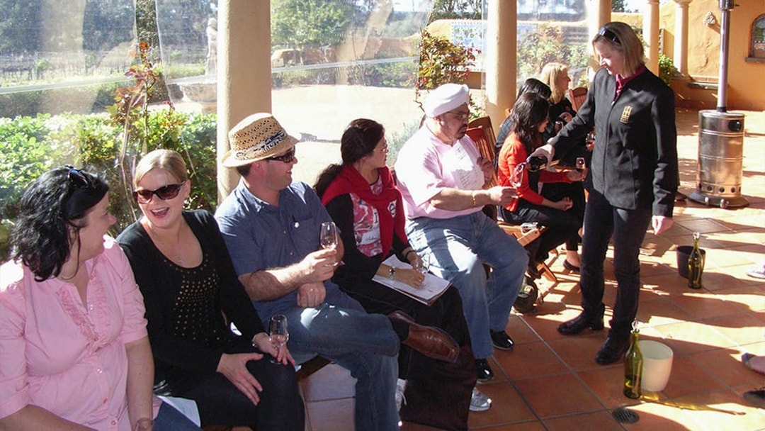 Group enjoying wine tasting on a patio during a guided tour in Hunter Valley.