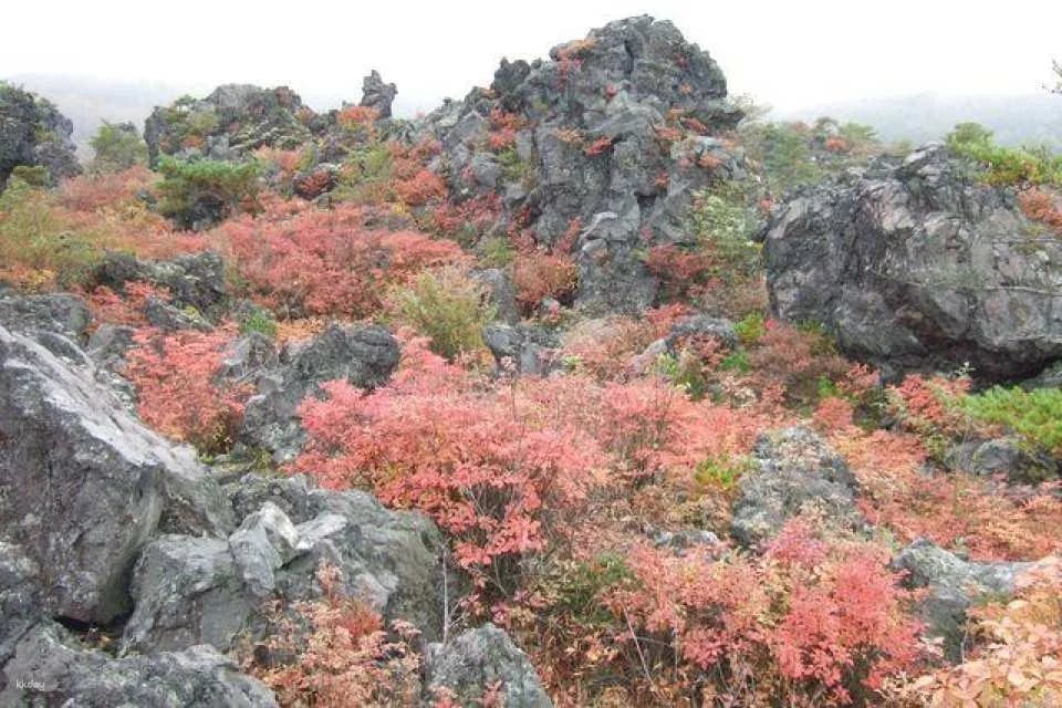 Gunma | Onioshi Departure Park Admission Ticket