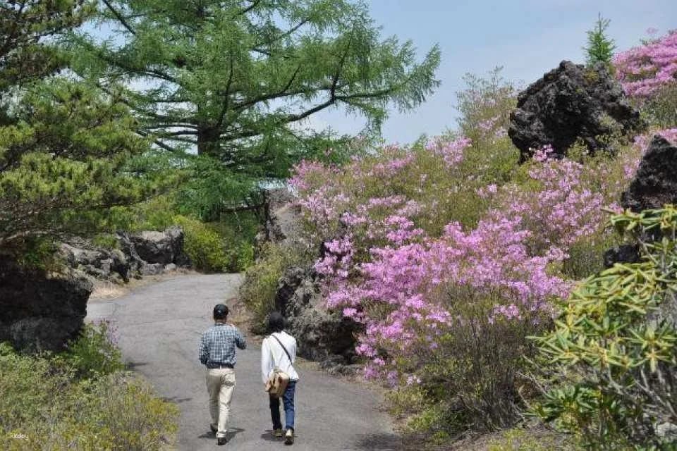 Gunma | Onioshi Departure Park Admission Ticket