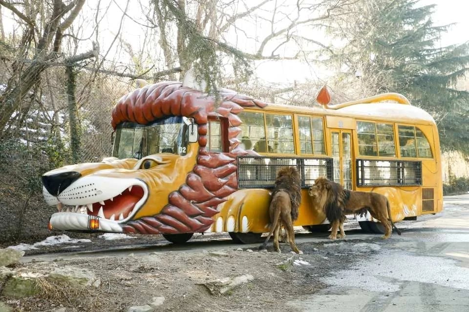 Gunma Wildlife Park, Japan - Electronic Admission Ticket