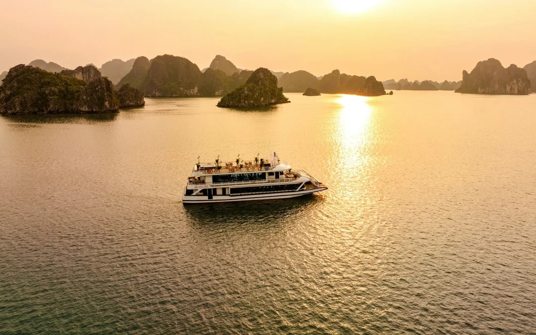 Ha Long Bay Day Cruise: Surprising Cave and Titop Island with Buffet Lunch Image 8