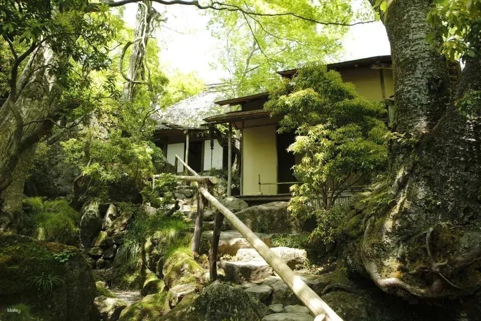 Hakone Gora Park admission ticket + tea ceremony experience (Hakone, Kanagawa Prefecture)