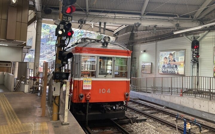 Hakone Guided Tour of Scenic and Cultural Landmarks with Multi-Transport Exploration Image 4