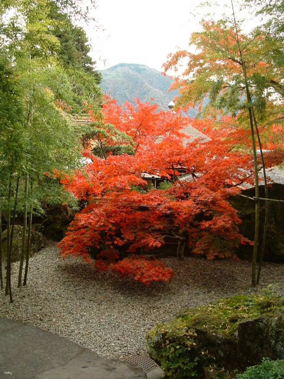 Hakone Museum of Art: Admission Ticket Reservation | Kanagawa, Japan