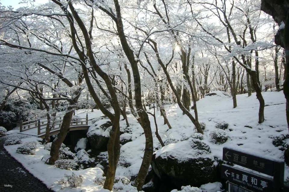 Hakone Museum of Art: Admission Ticket Reservation | Kanagawa, Japan