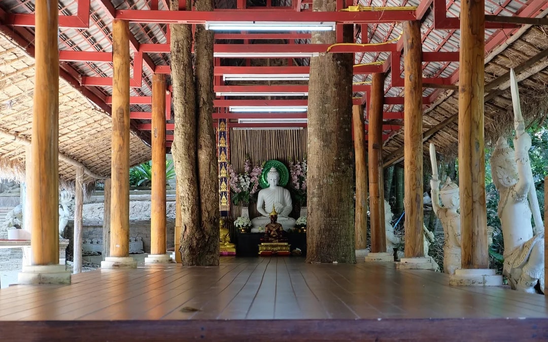 From Chiang Mai: Doi Suthep, Wat Umong, and Wat Pha Lat Sunrise Guided Tour with Hotel Transfers 
 Image 7
