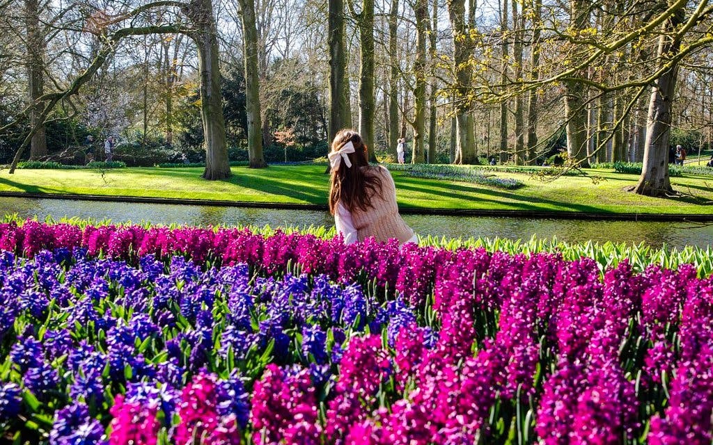 Visitors enjoying vibrant flowers at Keukenhof Gardens, Amsterdam.