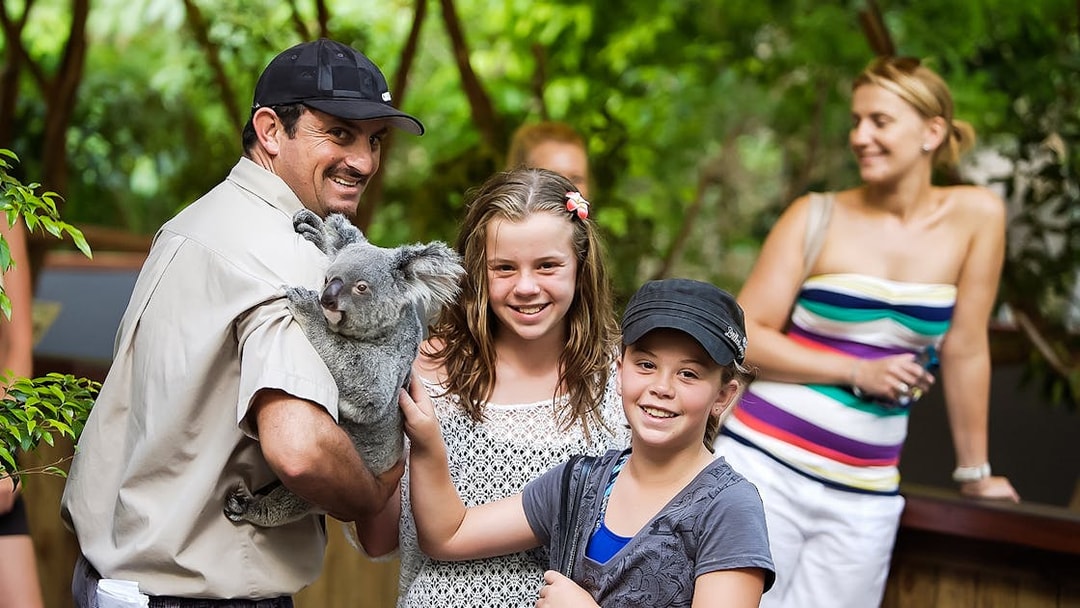 Guide holding a koala with children at Hartley’s Crocodile Adventures.