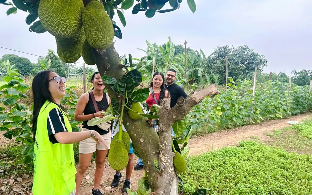Hanoi Guided Jeep City Tour with Train Street, French Quarter and Red River Communities Image 8