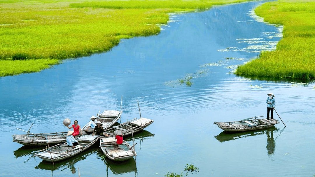 Boats on a river in Tam Coc, Vietnam, with people rowing and lush green landscape.