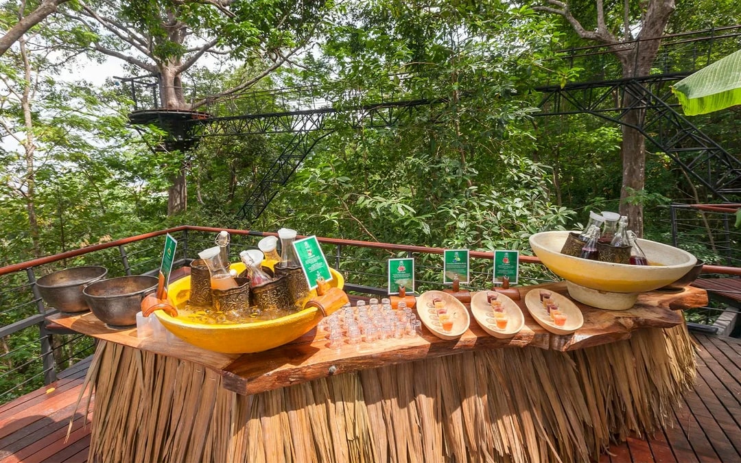Hanuman World: 10 Platforms Zipline Adventure Image 11