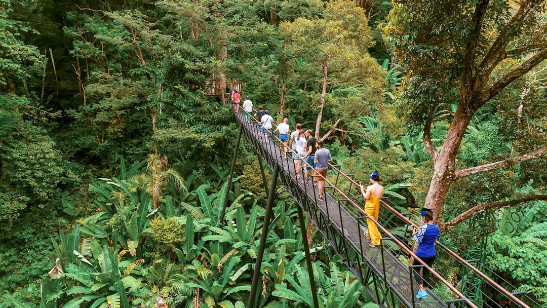 Visitors crossing a treetop platform at Hanuman World Phuket Zipline amidst lush greenery.