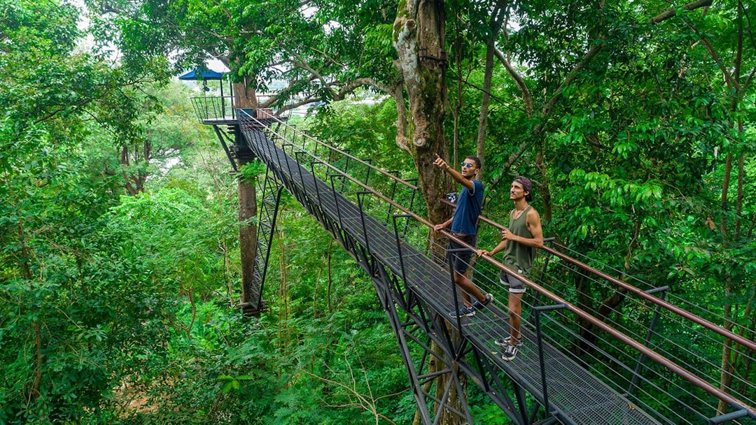 Men on a treetop walkway at Hanuman World, Phuket.