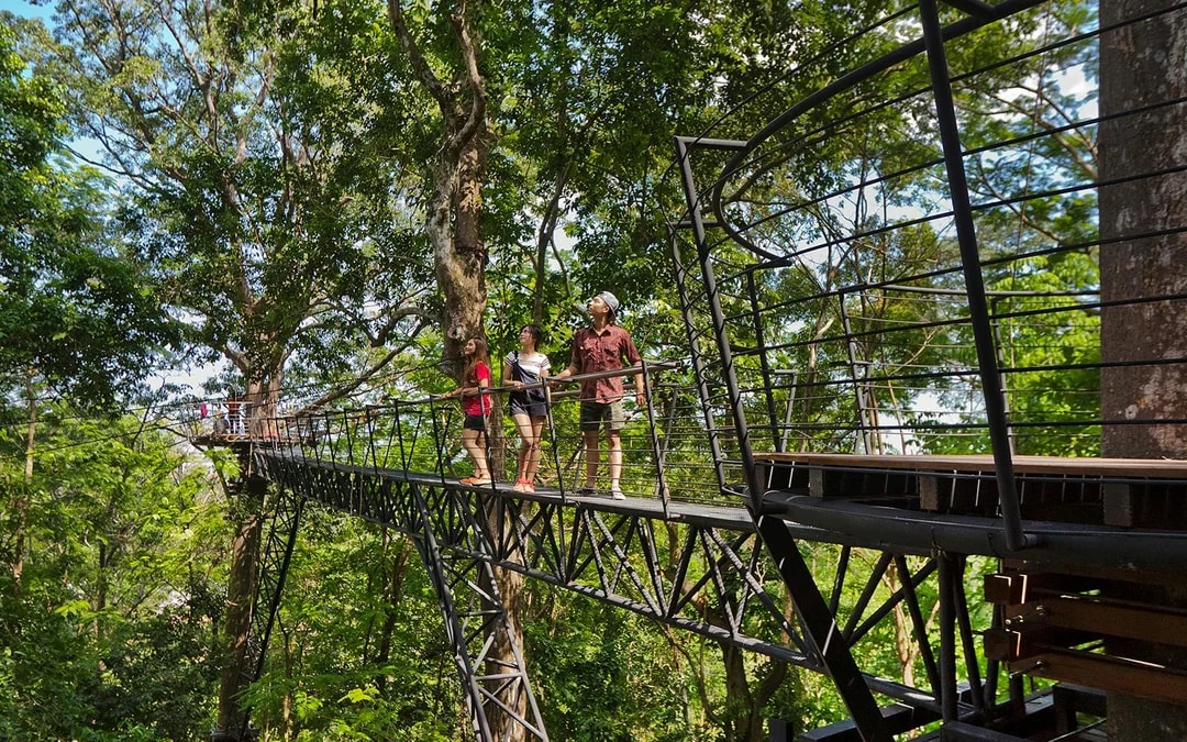 Hanuman World: 18 Platforms Zipline Adventure Image 9