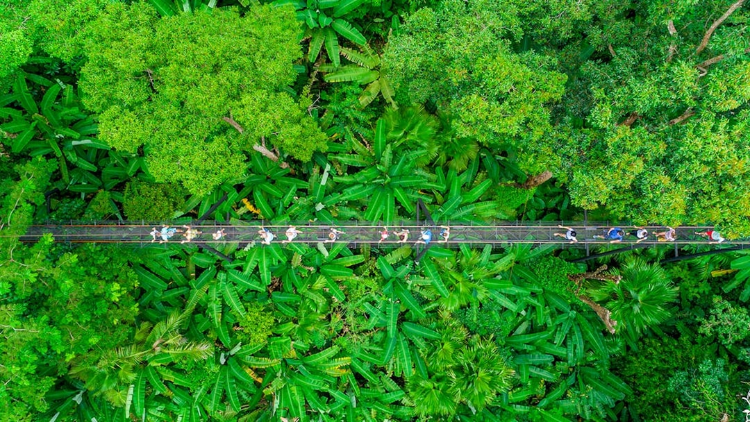 Aerial view of tourists on a canopy walkway in Hanuman World, Phuket.