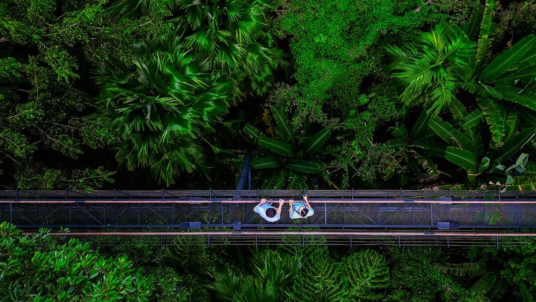 Tourists walking on a canopy bridge at Skywalk Hanuman World, surrounded by lush greenery.