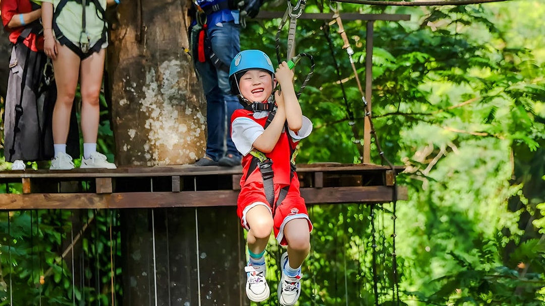 Child ziplining through a forest adventure park.