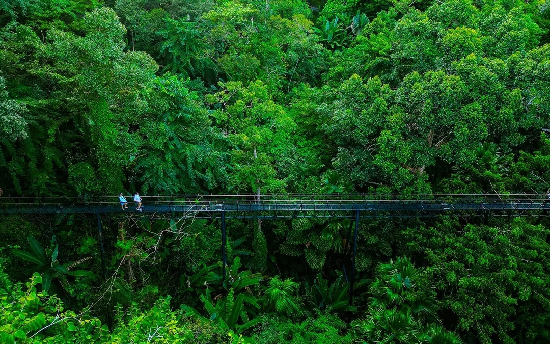 Hanuman World B+ Combo: 18 Zipline Platforms + Roller Zipline + Sky Walk + Meal with Round-Trip Transfers  
 Image 7