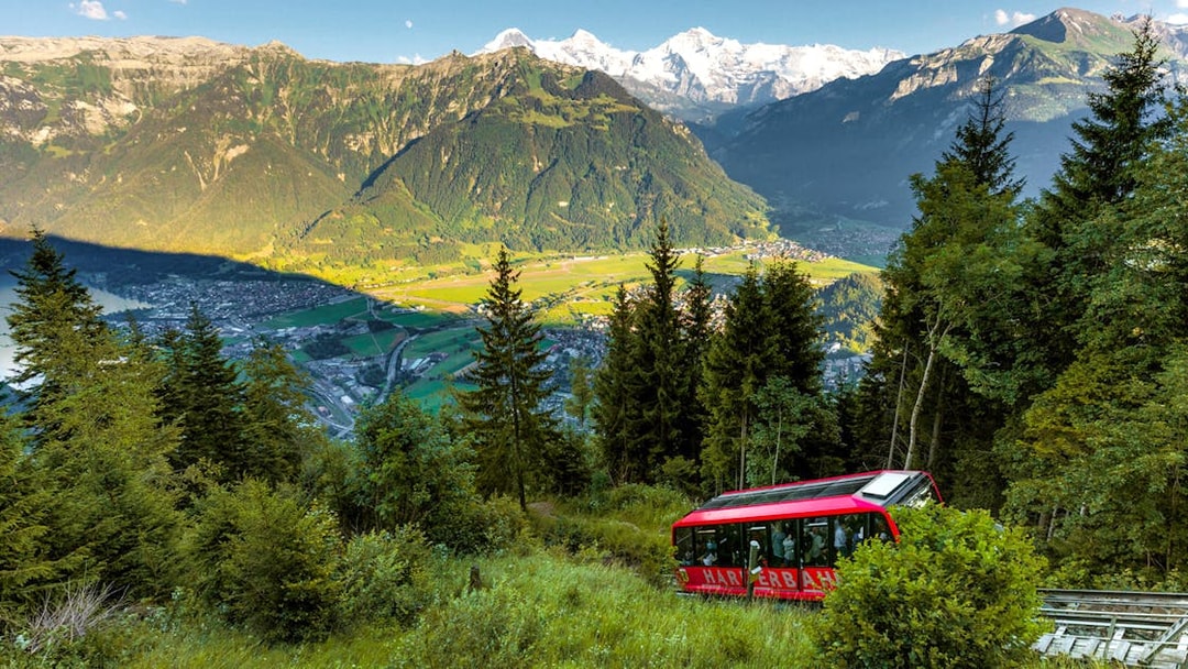 Harder Kulm funicular ascending through lush forest with Swiss Alps in the background.