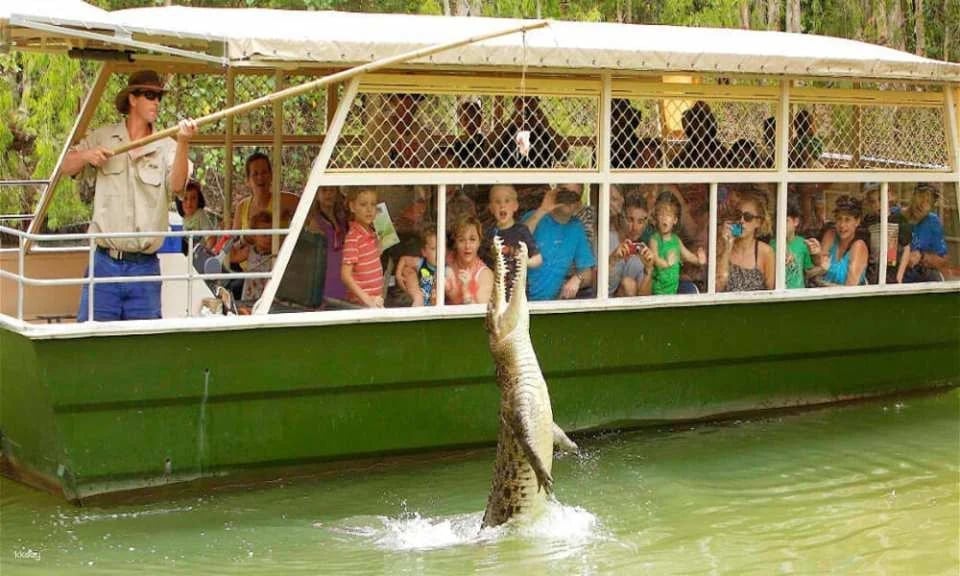 Hartley's Crocodile Adventures Park Entry - Queensland