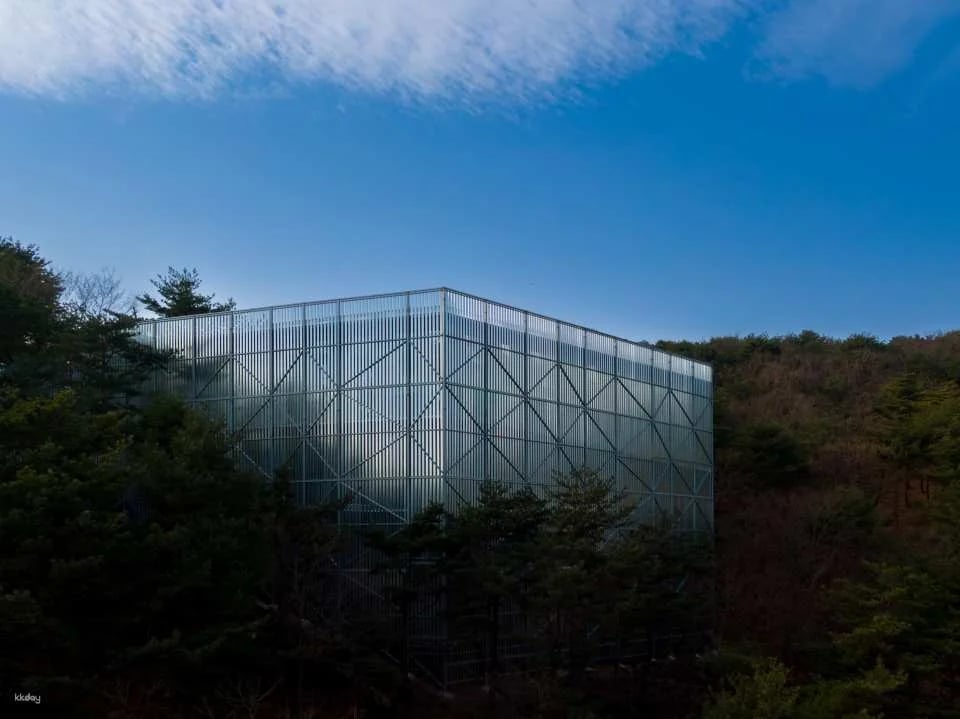 Haslla Art World Gangneung: The most photogenic art museum with an ocean view
