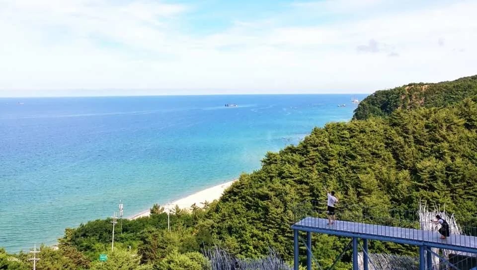 Haslla Art World Gangneung: The most photogenic art museum with an ocean view