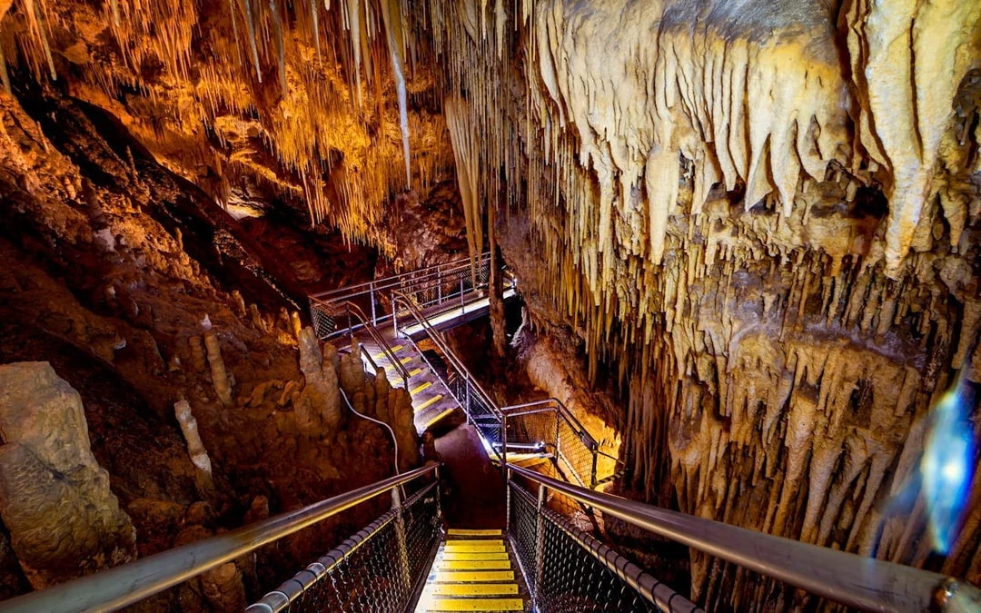 Hastings Caves, Tahune Airwalk and the Huon tasting trail Image 4