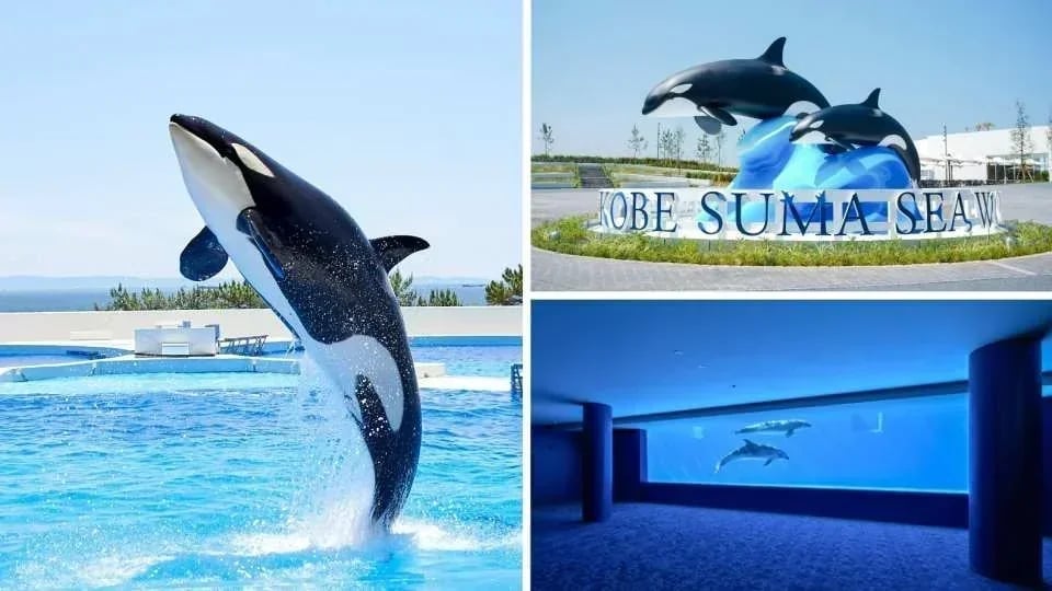 Have Fun in Kansai 1 Week Free Pass