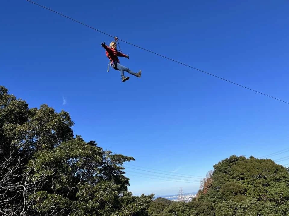 Have Fun in Kyushu 1 Week Free Pass