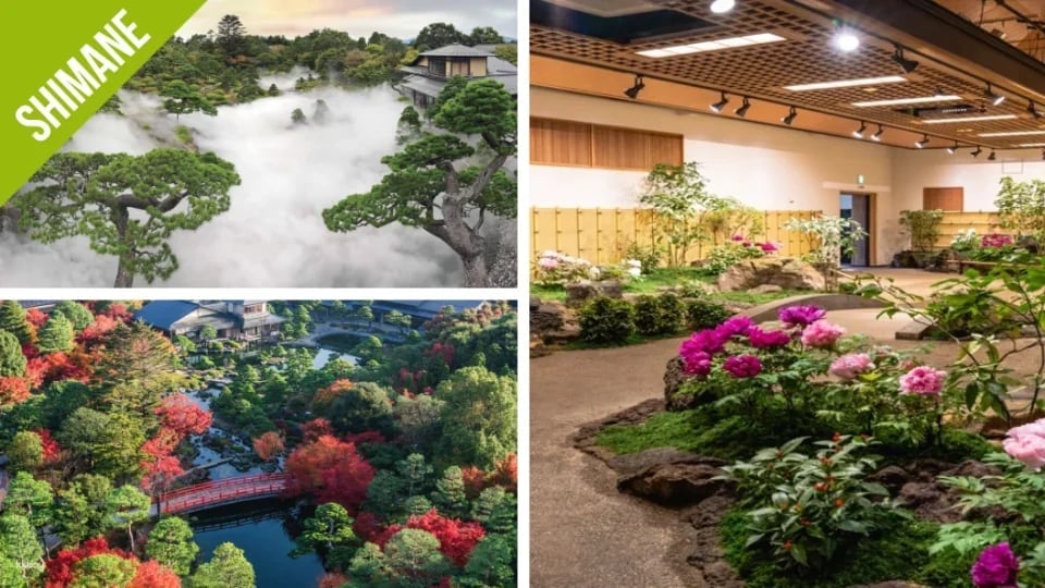 Have Fun in Shimane 1 Week Free Pass