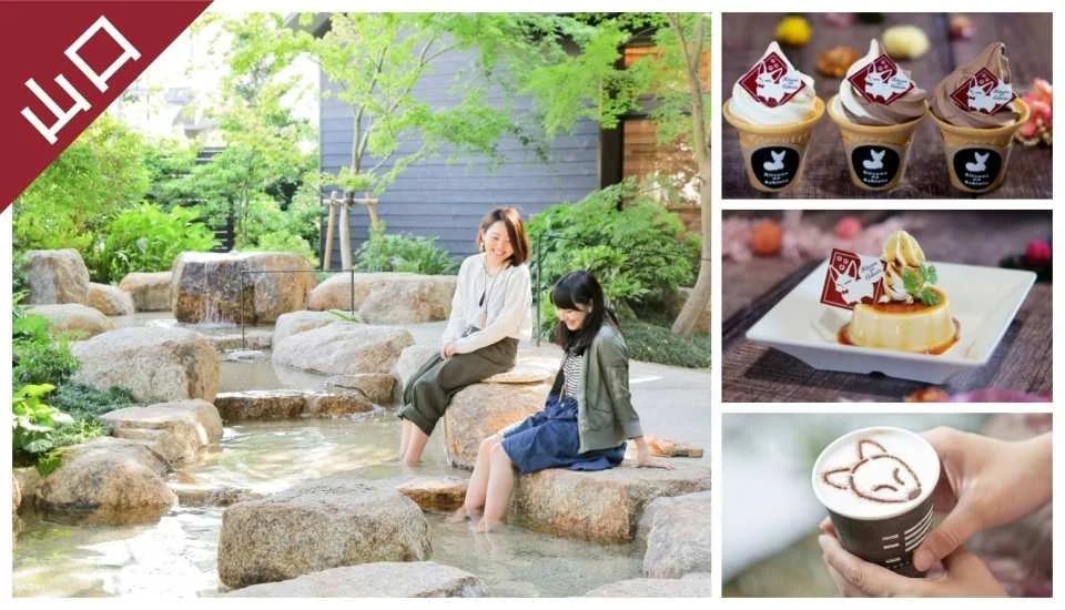 Have Fun in Yamaguchi 1-Week Free Pass | Japan