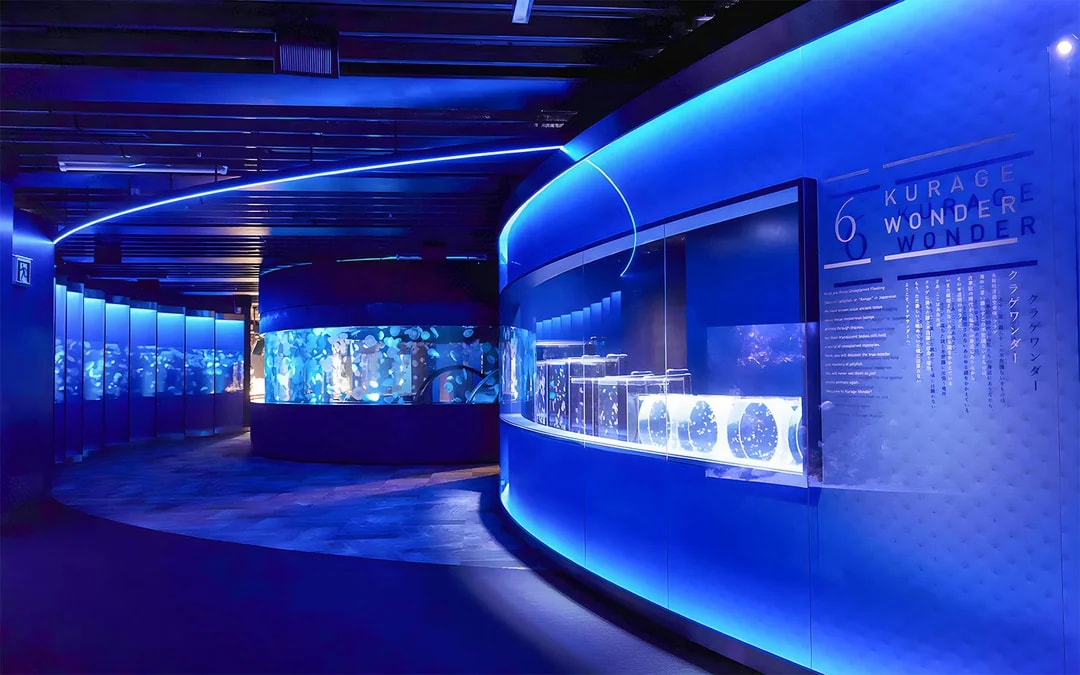 Jellyfish exhibit inside Kyoto Aquarium with illuminated tanks and blue lighting.