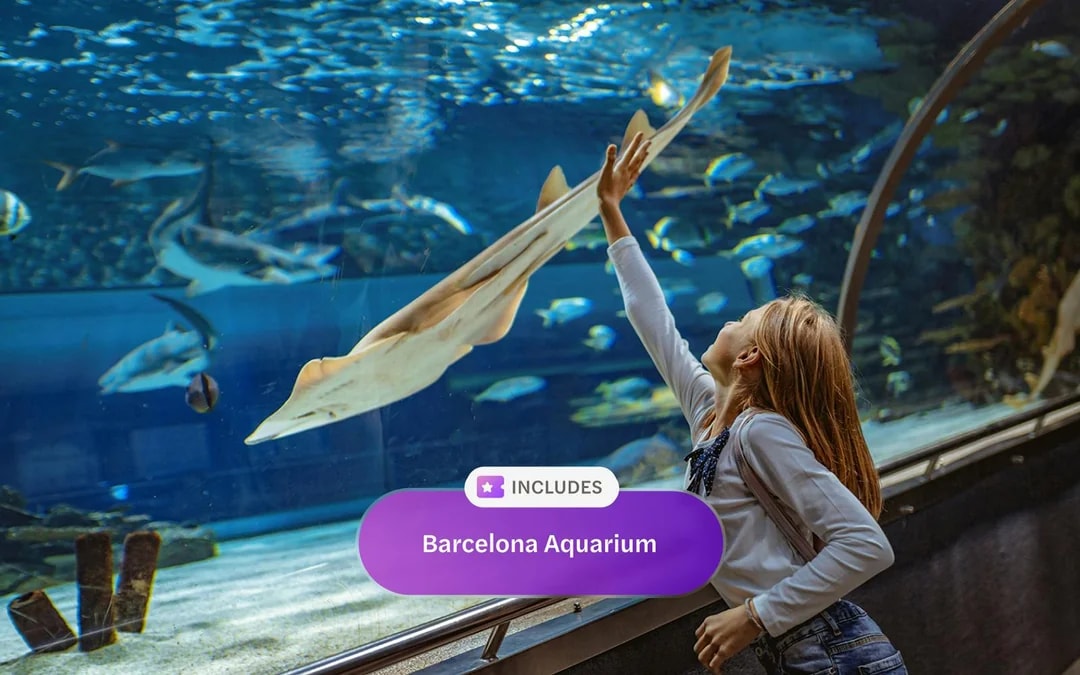 Headout Barcelona Pass: Sagrada Familia, Park Güell, Casa Batllo + Unlimited Public Transport & more Image 10