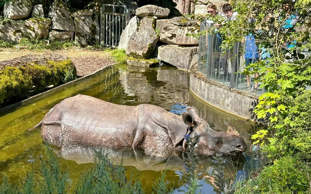 Hellabrunn Zoo Entry Tickets Image 8