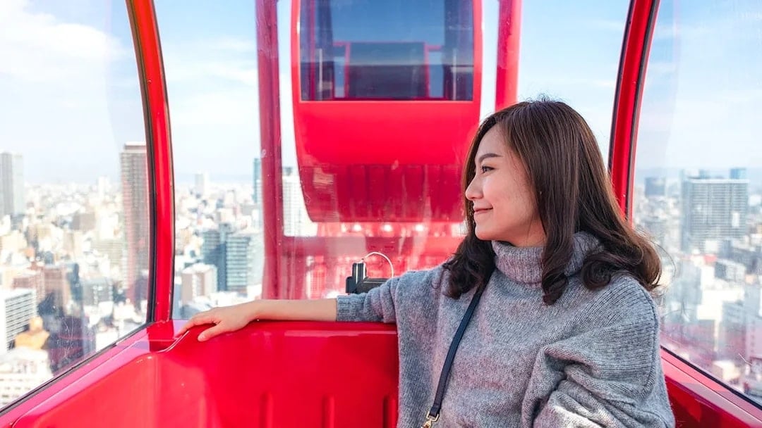 HEP Ferris Wheel Ticket