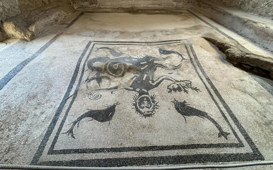Herculaneum Priority-Entry Guided Tour with an Archaeologist Image 8
