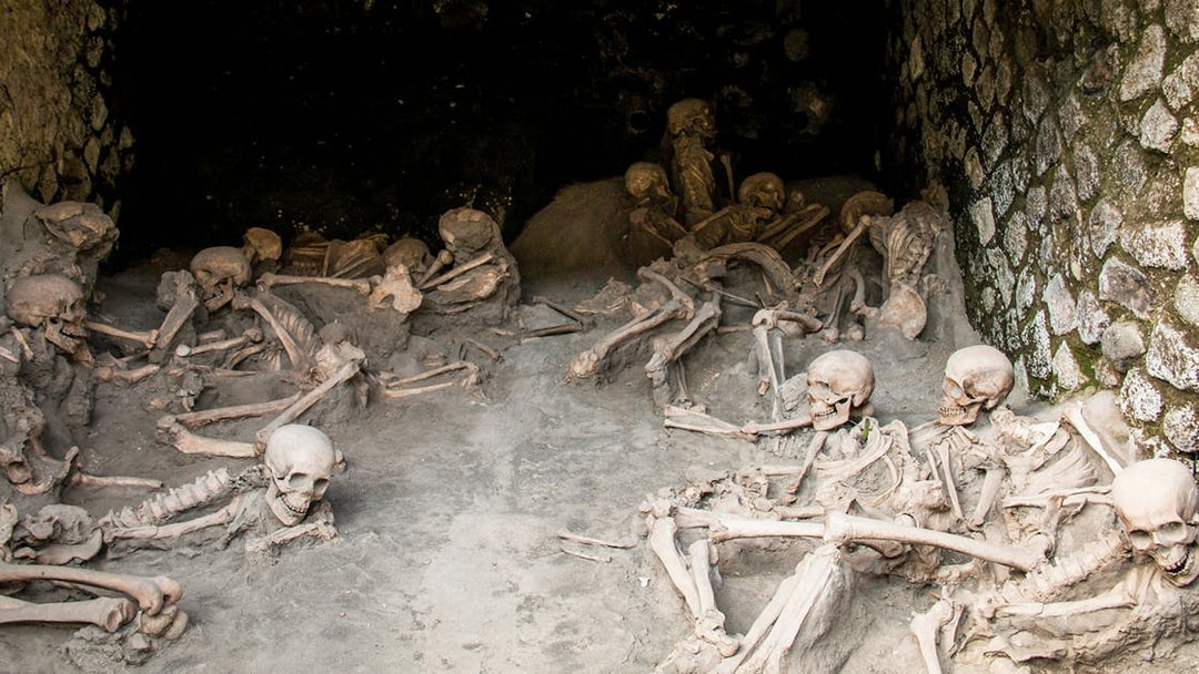 Skulls and skeletons at Herculaneum ruins excavation site, Naples.