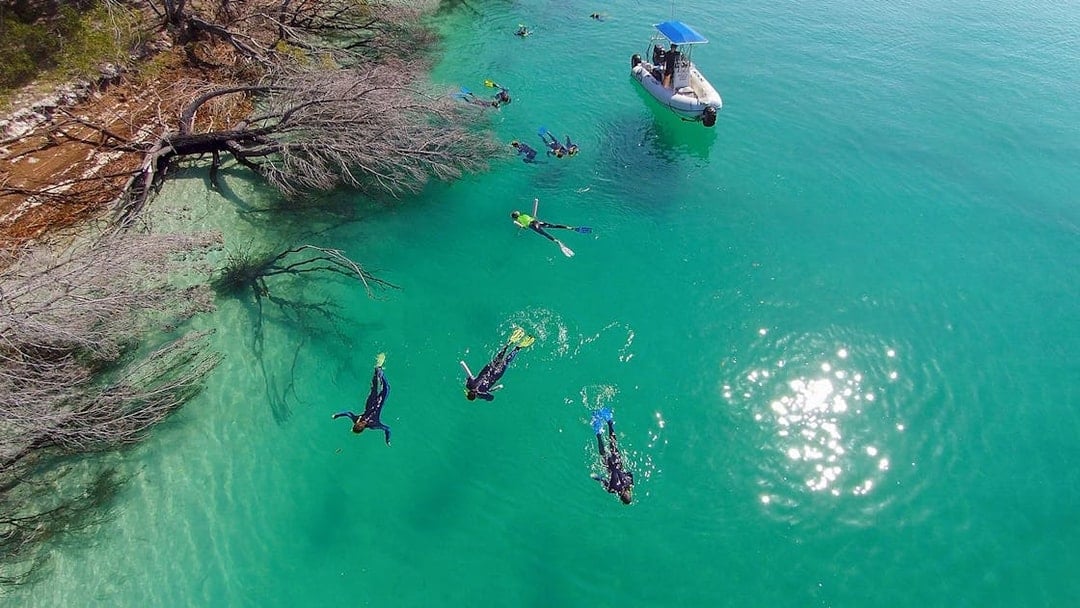 Snorkelers exploring clear waters near a boat on K'gari (Fraser Island) tour.