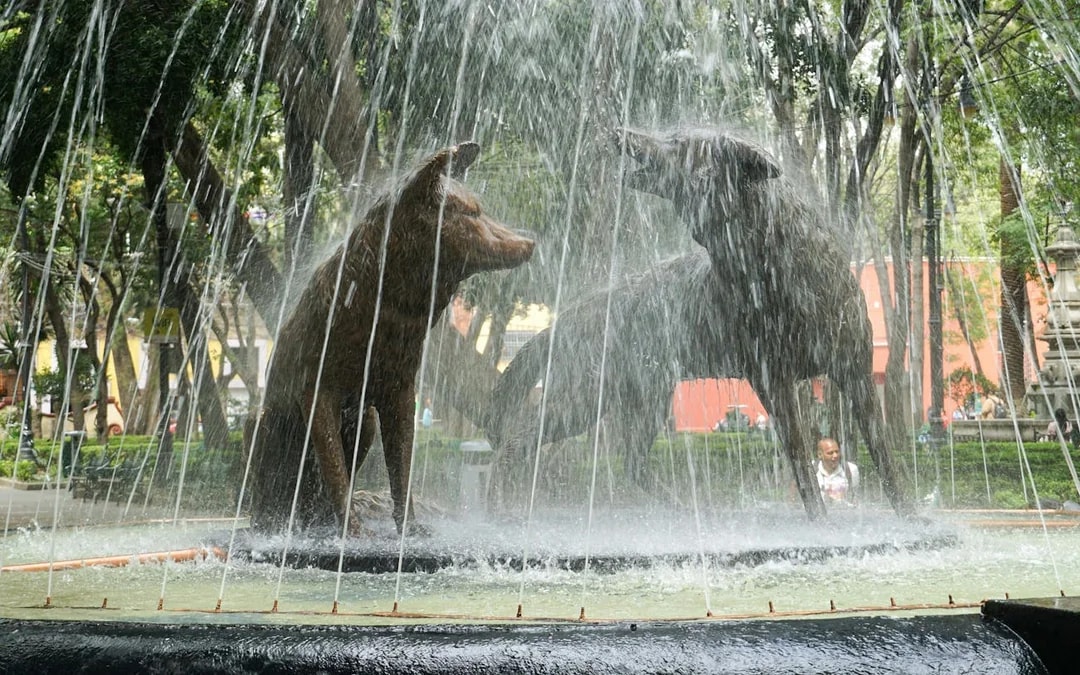 Discover Monkey Island - Can Gio – Nature Tour From Ho Chi Minh City