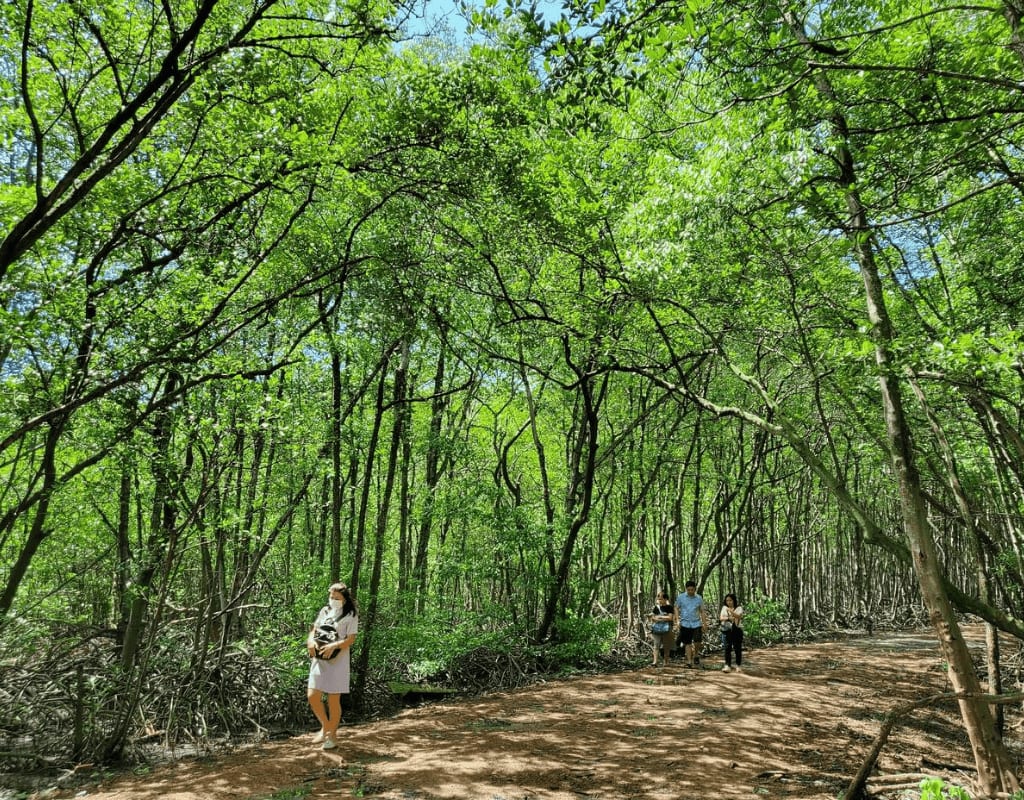 Discover Monkey Island - Can Gio – Nature Tour From Ho Chi Minh City