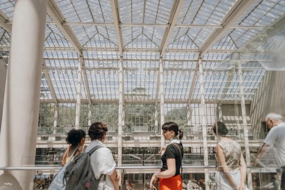 Highlights of the Metropolitan Museum of Art