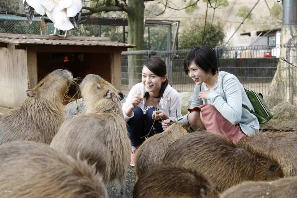 Himeji Central Park admission ticket (Himeji City, Hyogo Prefecture)