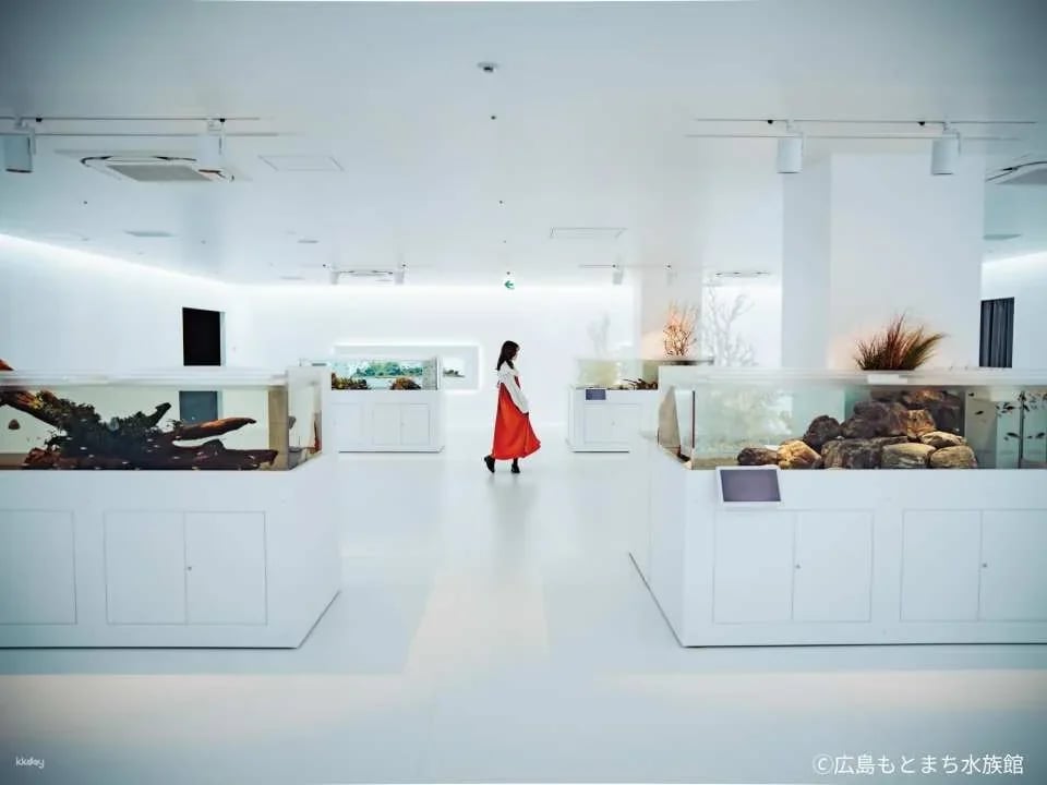Hiroshima Motomachi Aquarium Admission Ticket (Hiroshima Prefecture, Hiroshima City)