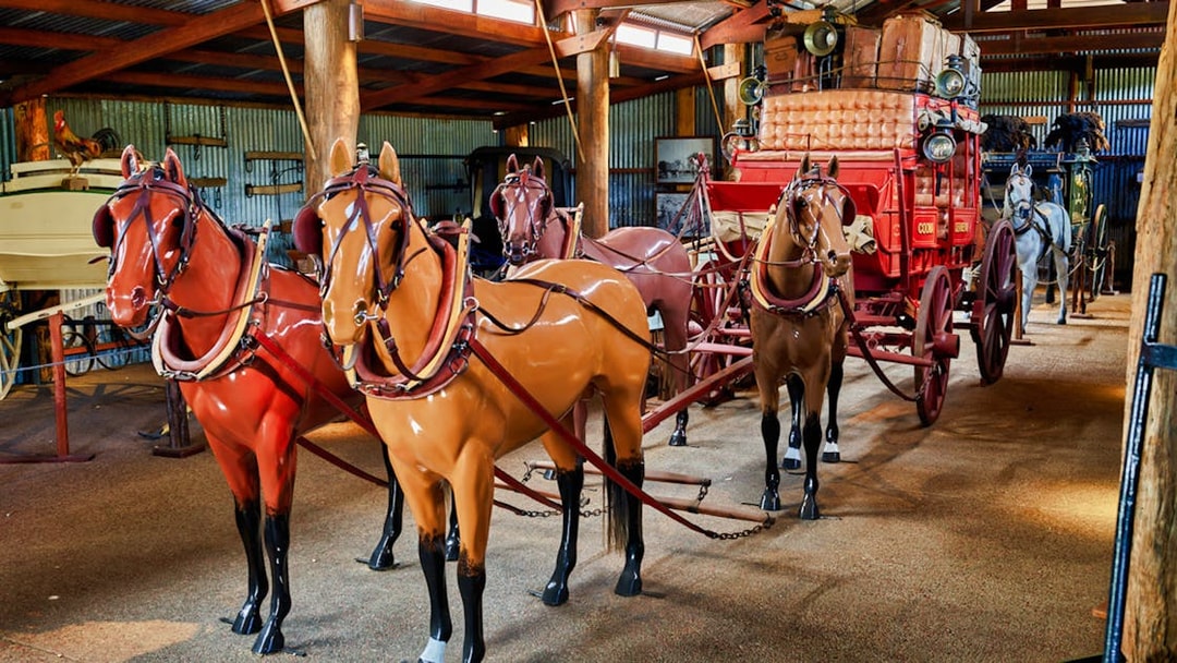 Horse-drawn carriage display at Herberton Historic Village.