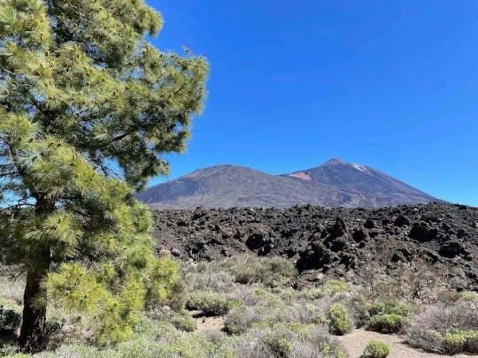 Historic Volcanoes Hiking Tour