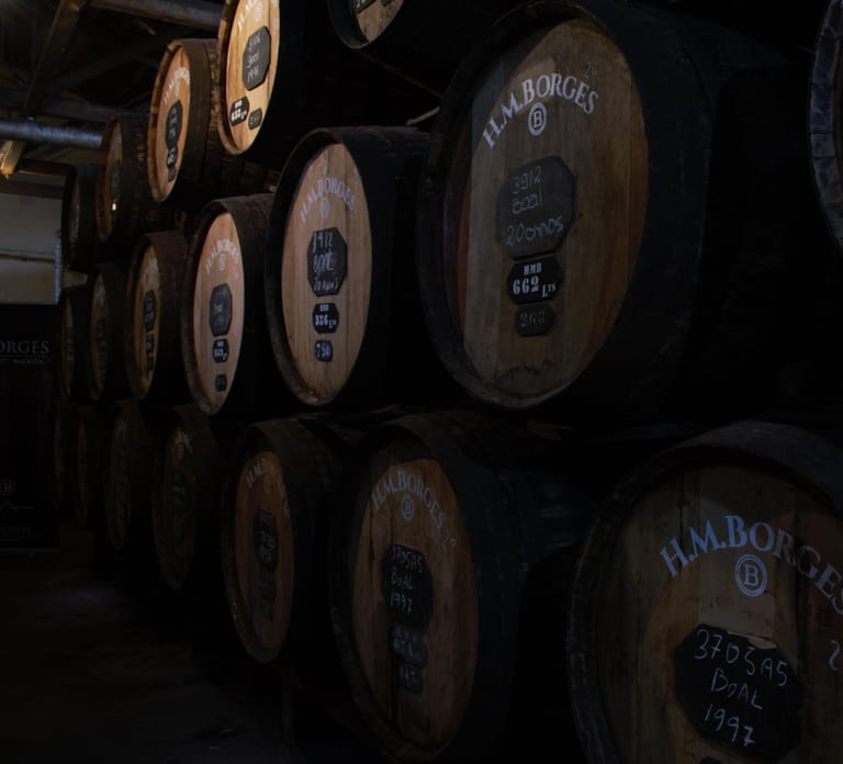 Funchal: H.M. Borges Winery Guided Tour with Wine Tasting